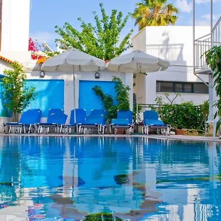 Koala بلدة كوس